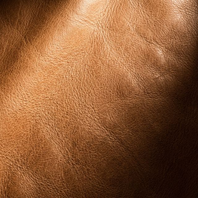 Leather material sample